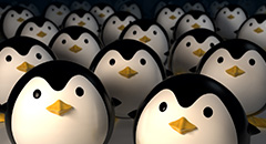 Linux 用户和群组进阶学习