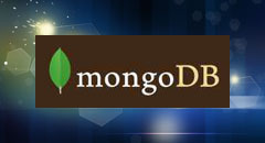 MongoDB 数据模型