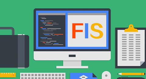 FIS 介绍和应用